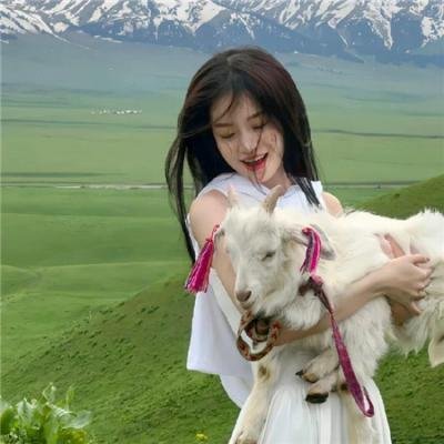 报告王爷,王妃是只猫