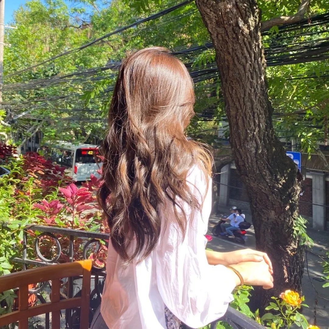 碧丽莎的情人